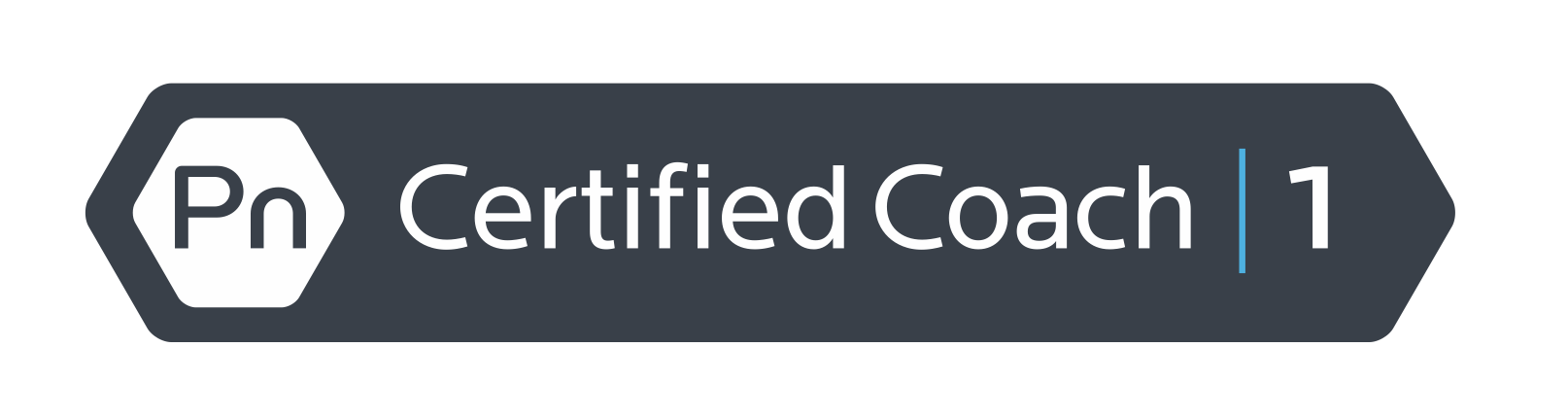 Precision Nutrition Level 1